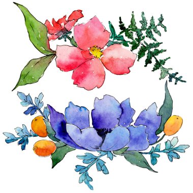 Renkli buket. Botanik çiçek. İzole vahşi bahar yaprak kır çiçeği.