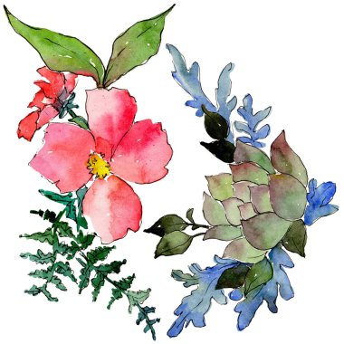 Renkli buket. Botanik çiçek. İzole vahşi bahar yaprak kır çiçeği.