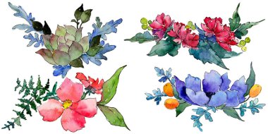 Renkli buket. Botanik çiçek. İzole vahşi bahar yaprak kır çiçeği.