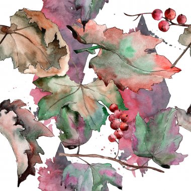 Frenk üzümü bırakır. Yaprak bitki deseni Botanik Bahçe çiçek yaprakları.