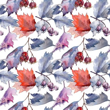 Alıç yaprağı. Yaprak bitki deseni Botanik Bahçe çiçek yaprakları.