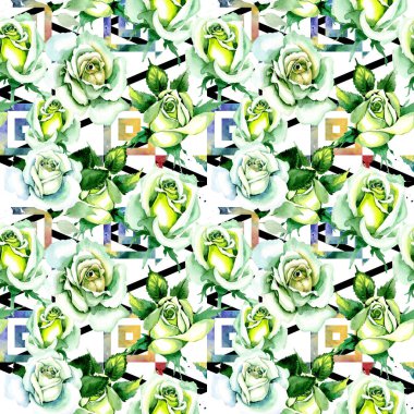 Beyaz güller. Botanik çiçek. Vahşi bahar yaprak kır çiçeği deseni.