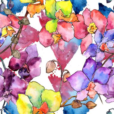 Renkli orkide. Botanik çiçek. Vahşi bahar yaprak kır çiçeği deseni.