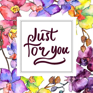 Renkli orkide. Botanik çiçek. Vahşi bahar yaprak kır çiçeği çerçeve.