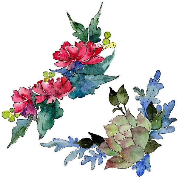 Colorful bouquet. Floral botanical flower. Wild spring leaf wildflower isolated. — Stock Photo, Image