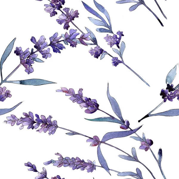 Lavanda violeta. Floral flor botânica. Primavera selvagem folha padrão de flores silvestres . — Fotografia de Stock