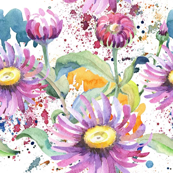 바이올렛 카모마일입니다. 꽃 식물 꽃입니다. 야생 봄 잎 플라워 패턴. — 스톡 사진