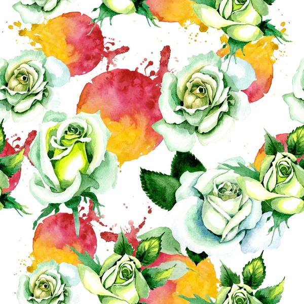 Whit roses. Floral botanical flower. Wild spring leaf wildflower pattern. — Stock Photo, Image