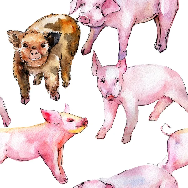 Pig wild animal in a watercolor style pattern. — Stock Photo, Image