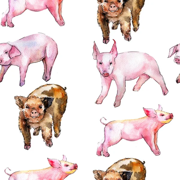 Cochon animal sauvage dans un modèle de style aquarelle . — Photo