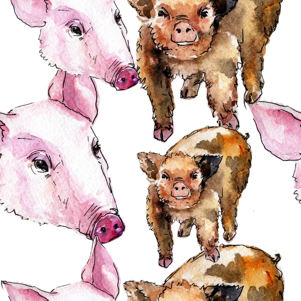 Pig wild animal in a watercolor style pattern. — Stock Photo, Image