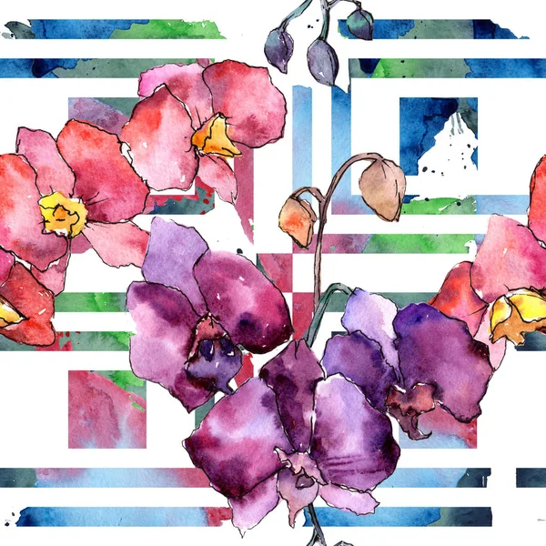 Πολύχρωμο ορχιδέα. Floral βοτανικό λουλούδι. Άγρια άνοιξη φύλλων wildflower μοτίβο. — Φωτογραφία Αρχείου