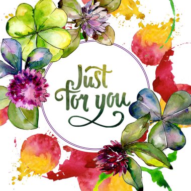 Kır çiçeği yonca. Botanik çiçek. Vahşi bahar yaprak kır çiçeği çerçeve.