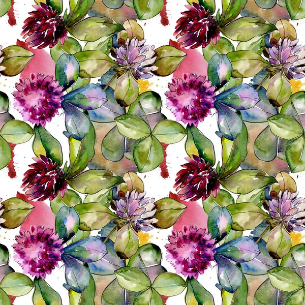 Wildflower klaver. Floral botanische bloem. Wild voorjaar blad wildflower patroon. — Stockfoto