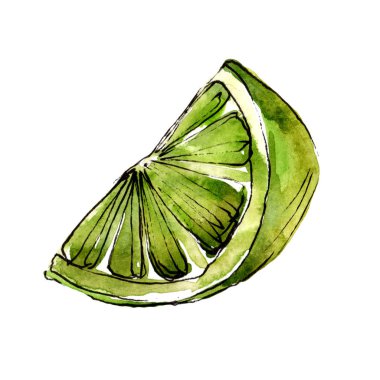 Exoticlemon turuncu izole bir suluboya tarzında.