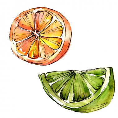 Exoticlemon turuncu izole bir suluboya tarzında.