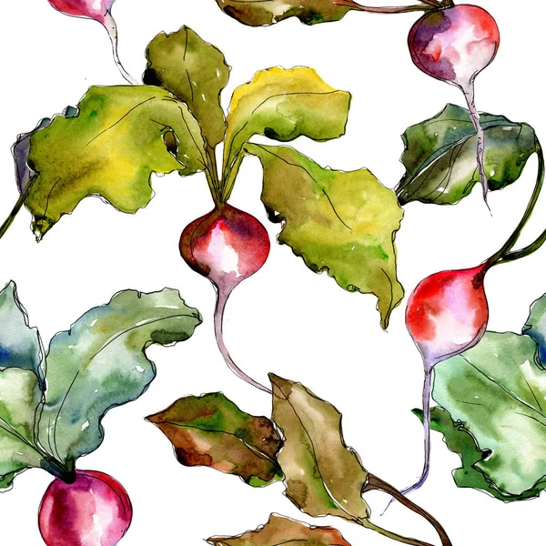 Radis rouge légumes dans un motif de style aquarelle . — Photo