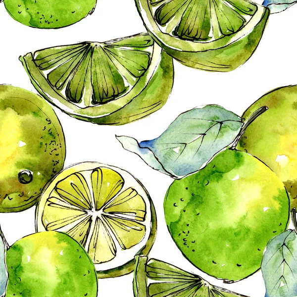 Citrinos de limão exóticos em um padrão de estilo aquarela . — Fotografia de Stock