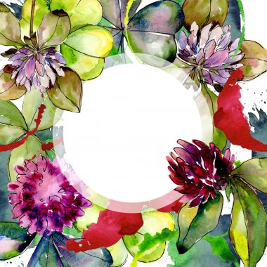 Kır çiçeği yonca. Botanik çiçek. Vahşi bahar yaprak kır çiçeği çerçeve.