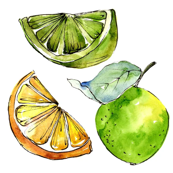 Exoticlemon citrus i akvarell stil isolerade. — Stockfoto