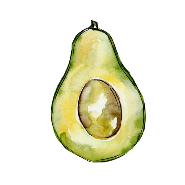 Frutta selvatica esotica avocado in uno stile ad acquerello isolato . — Foto Stock