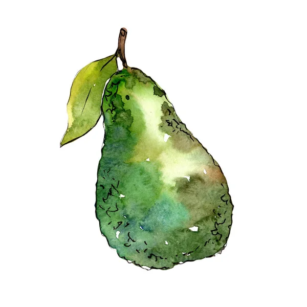 Frutta selvatica esotica avocado in uno stile ad acquerello isolato . — Foto Stock