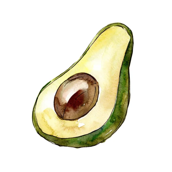 Frutta selvatica esotica avocado in uno stile ad acquerello isolato . — Foto Stock