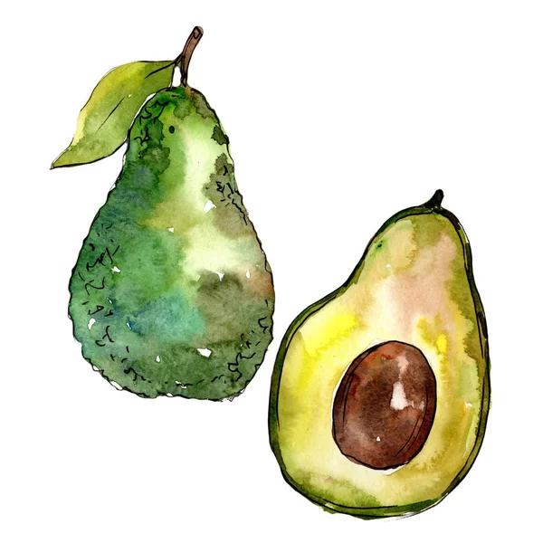 Frutta selvatica esotica avocado in uno stile ad acquerello isolato . — Foto Stock