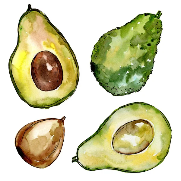 Avocat exotique fruits sauvages dans un style aquarelle isolé . — Photo