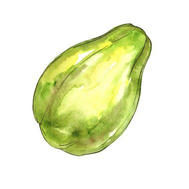 Egzotik papaya yabani meyve izole bir suluboya tarzında.