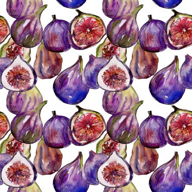 Egzotik incir yabani meyve sulu boya tarzı desen.