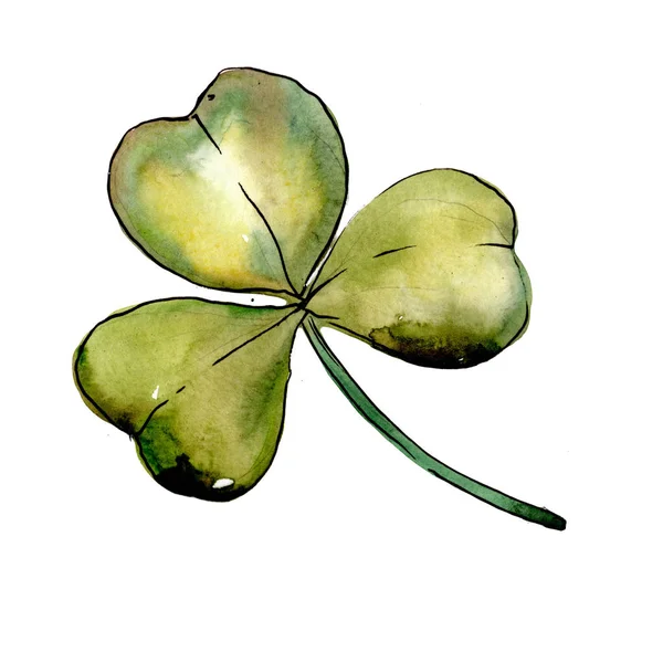 Wildflower clover flower in a watercolor style isolated. — Stock Photo, Image