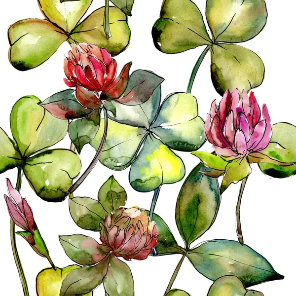 Wildflower clover flower in a watercolor style pattern.