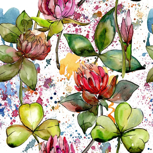 Wildflower clover flower in a watercolor style pattern. — Stock Photo, Image