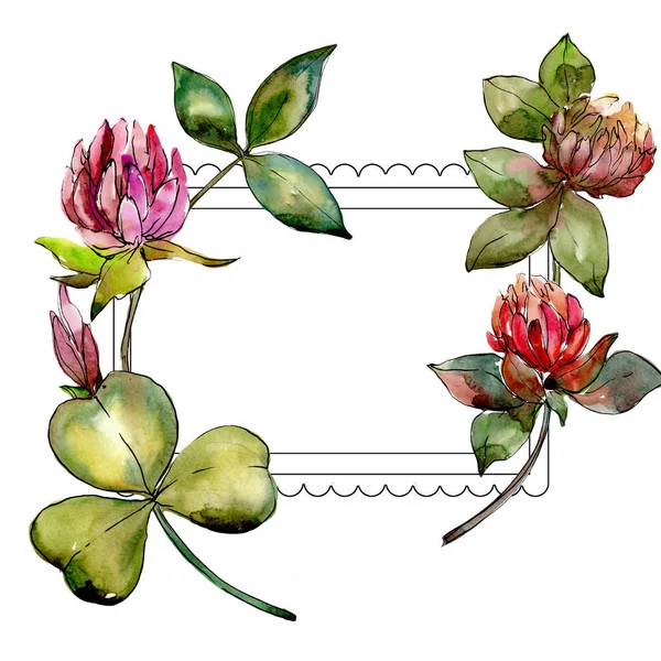 수채화 스타일 프레임에 야생화 클로버 꽃. — 스톡 사진