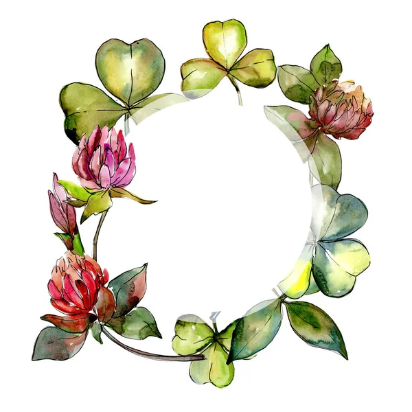 Wildflower clover flower in a watercolor style frame. — Stock Photo, Image