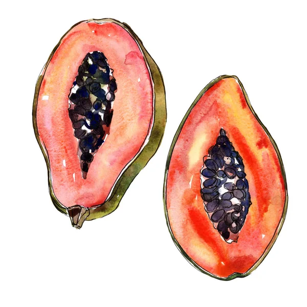 Dzikie owoce egzotyczne papaya w stylu przypominającym akwarele na białym tle. — Zdjęcie stockowe