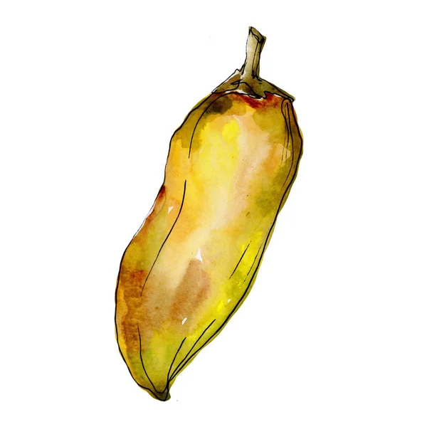 Pepper vegetais selvagens em um estilo aquarela isolado . — Fotografia de Stock