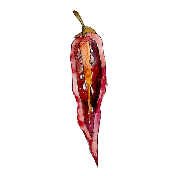 Peper wilde groenten in een aquarel stijl geïsoleerd. — Stockfoto