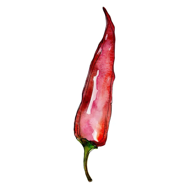 Pepper wild vegetables in a watercolor style isolated. — Stock Photo, Image