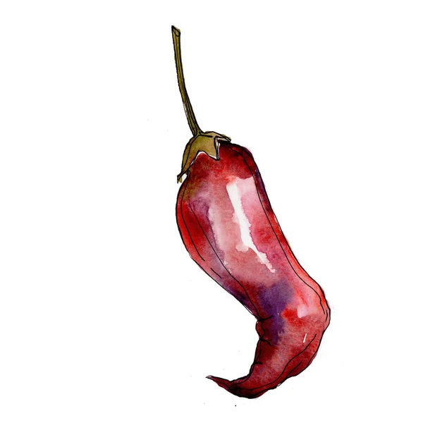 Peper wilde groenten in een aquarel stijl geïsoleerd. — Stockfoto