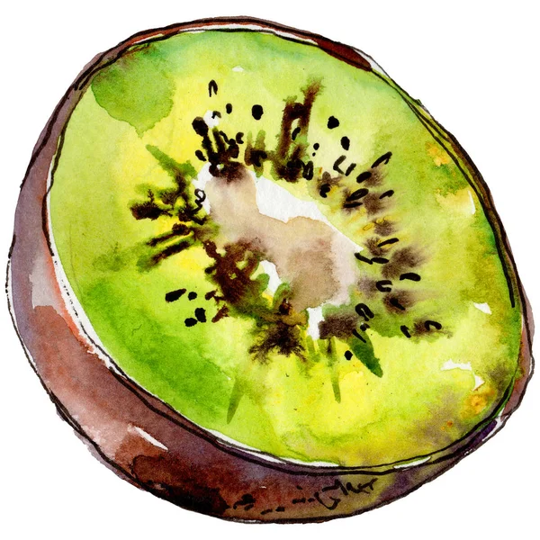 Exotiska vilda kiwifrukt i akvarell stil isolerade. — Stockfoto