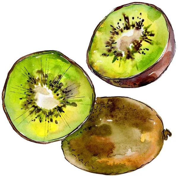 Kiwi esotici frutti selvatici in uno stile ad acquerello isolato . — Foto Stock