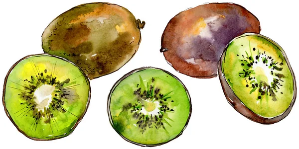 Kiwi esotici frutti selvatici in uno stile ad acquerello isolato . — Foto Stock