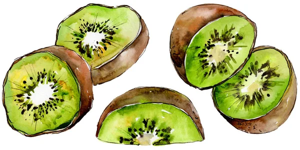 Kiwi esotici frutti selvatici in uno stile ad acquerello isolato . — Foto Stock