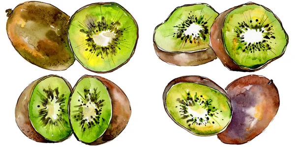 Kiwi esotici frutti selvatici in uno stile ad acquerello isolato . — Foto Stock