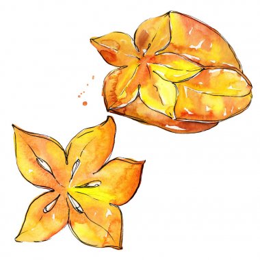 Egzotik carambola yabani meyve izole bir suluboya tarzında.