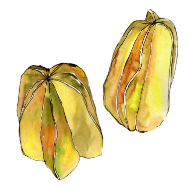 Egzotik carambola yabani meyve izole bir suluboya tarzında.