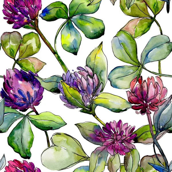 Wildblume Kleeblume in einem Aquarell-Muster. — Stockfoto