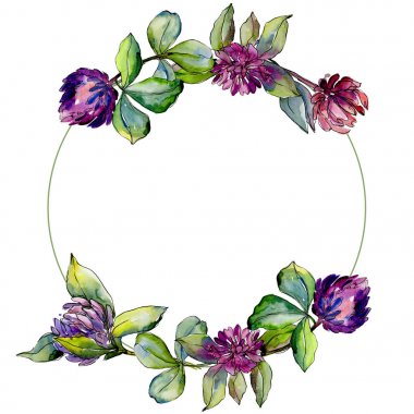 Kır çiçeği yonca çiçek bir suluboya stil çerçevesi içinde. 